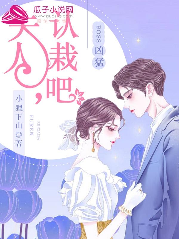 盛晚晴莫淮南陆若锦
