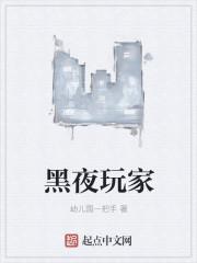 黑夜玩家在线阅读 黑夜玩家在线阅读