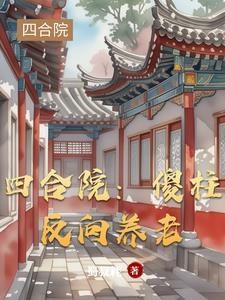 四合院中院 四合院中院