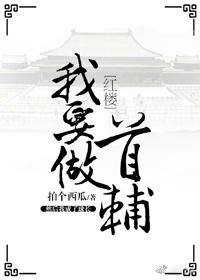 我要做首辅女主角 我要做首辅女主角