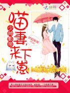少帅宠妻请低调完整版 少帅宠妻请低调完整版