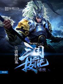三国志技能 三国志技能