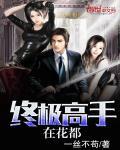 终极高手全文 终极高手全文