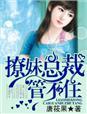 撩女总裁 撩女总裁