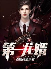 第一龙婿全集 第一龙婿全集