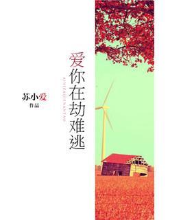 爱你在劫难逃苏婉免费阅读 爱你在劫难逃苏婉免费阅读