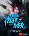 无敌微信系统 无敌微信系统