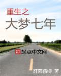 重生之大梦七年 重生之大梦七年